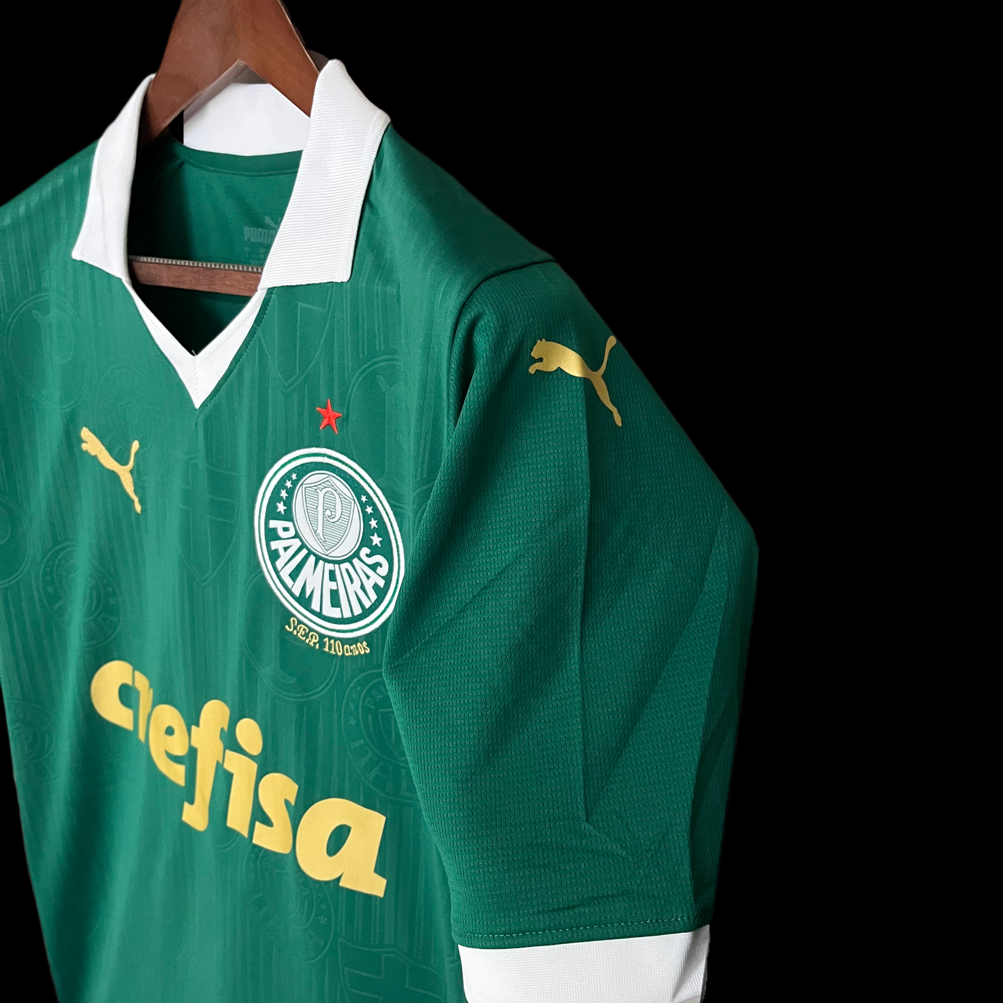 Camisola 2024 Palmeiras Home